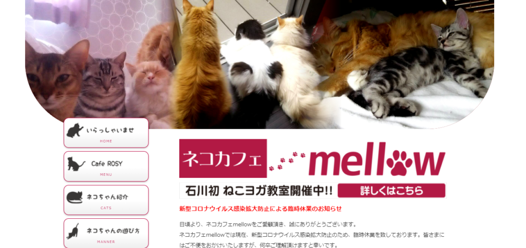 石川県の猫スポット １０選 猫スポットなび