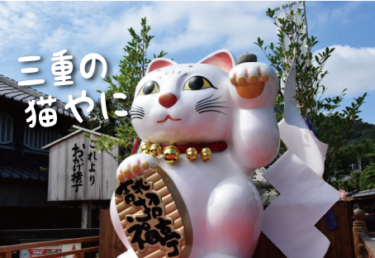 三重県の猫スポット