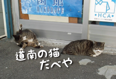 北海道／道南の猫スポット　１１選