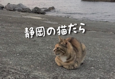 【2021年版】静岡県の猫スポット　２７選