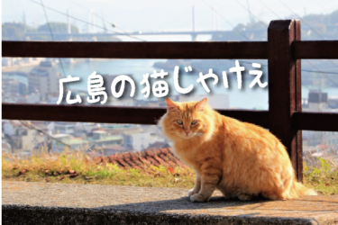 【2021年版】広島県の猫スポット（尾道市以外）　２０選