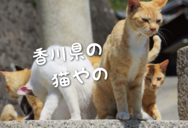 【2021年版】香川県の猫スポット　１４選